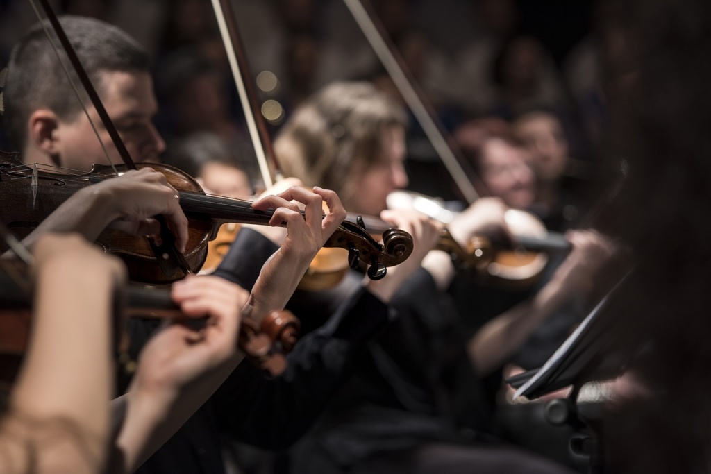 north-devon-sinfonia-music-festival-orchestra