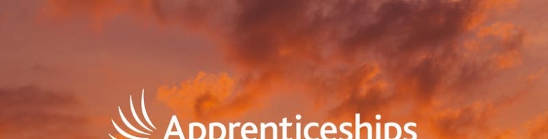 Thinking about an Apprenticeship?