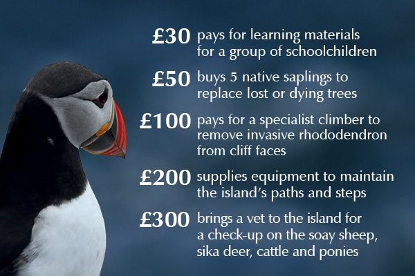 save-lundy-island-donations